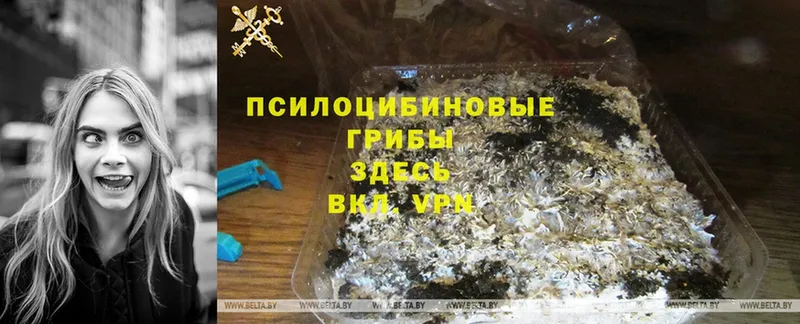 Галлюциногенные грибы Magic Shrooms  Гуково 